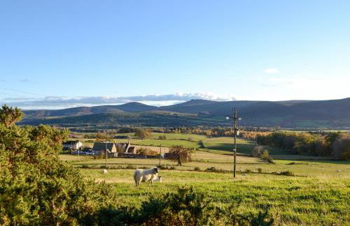 Tanar View - Photo 21