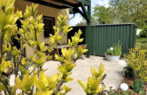 Ferienwohnungen Am Seeufer 11 - Foto 26