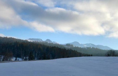 Bystre DOMKI - Foto 24