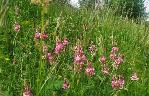 Au charmant chablis - Foto 22