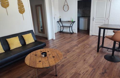 T1 lumineux et climatisé - Foto 4