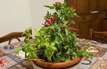 A piedi scalzi sullo Stretto 2 - Foto 34