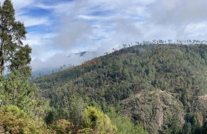 Quinta do Areal - Foto 56