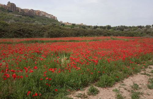 Els Ports d'Horta - Foto 53