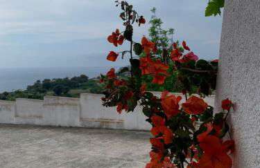 VILLA MARELUNA - near the beach , family residence pet friendly ! - Foto 17