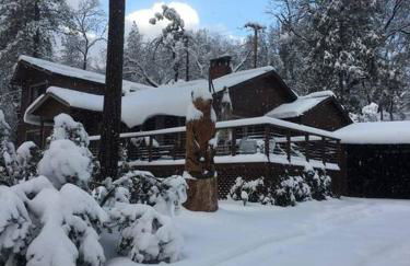 Uncle Grizz's Cabin...get intouch with nature - Foto 49