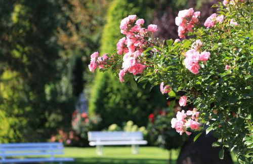Baumanns Landhaus Durbach - Foto 4