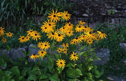 Haus Am Sonnenhügel - Foto 13