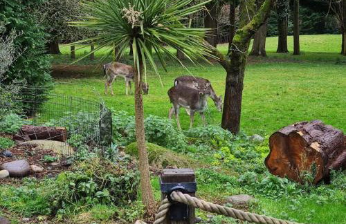 Beautiful cottage in Brentwood - Foto 11