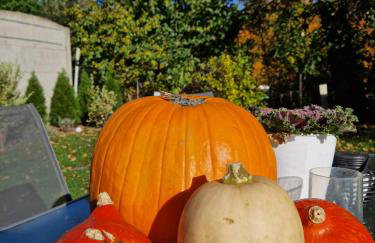 Apartament Mar&Mel - Foto 49