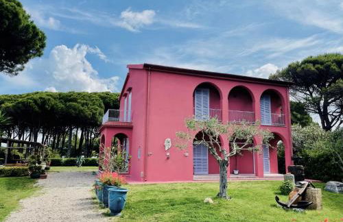 Tenuta Clementino - Foto 12