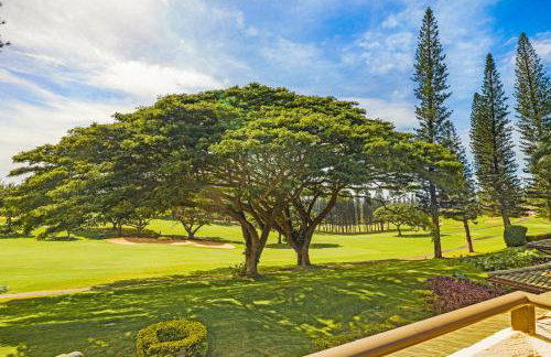 Spacious Lanai Retreat, Kapalua Maui - Foto 29