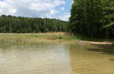 Dom Mossa - Photo 49