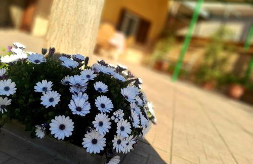 Villa Carrieri - Foto 48