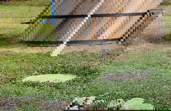 Cabañas ecológicas - Foto 48