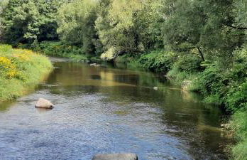 plain-pied proche base de loisirs et voie verte - Foto 27