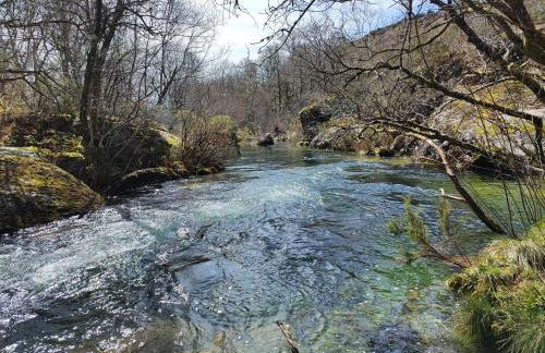 Moinhos do Poço Verde - Foto 13