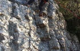 Quinta de São João - Foto 19