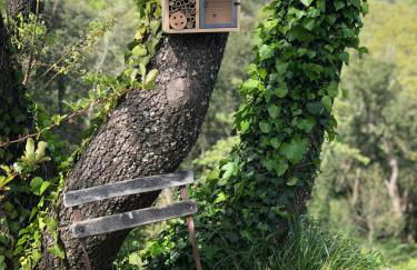 Le Mouron Rouge - Foto 52