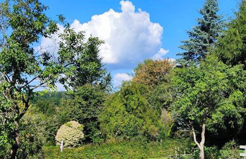 Am Springelbach - Foto 18