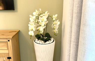 Moselblick Winningen Traumwohnung im „La Mosel“ - Foto 47