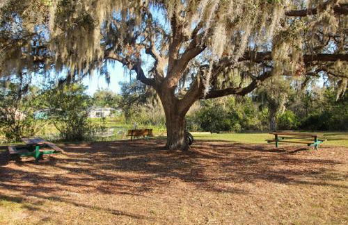 Family Dream 5 Bedroom Home by RedAwning - Foto 87