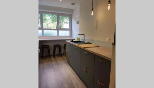 Appartement 3 chambres, 3 salles d'eau - Foto 2, stove, pet friendly, minibar