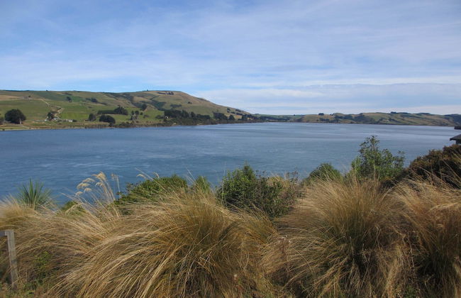 Catlins Lake Sanctuary - Foto 11