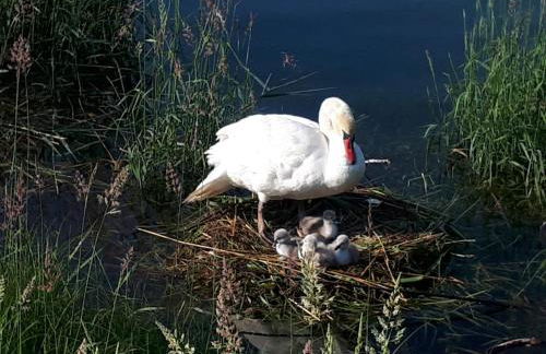 Appartements Bank Am See - Foto 37