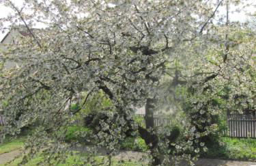Hochwertiges Ferienhaus im romantischen Franken - Foto 40