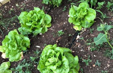 B&B Zia Nì - Foto 8