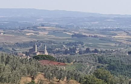 Il Borgo dei Pini - Foto 37