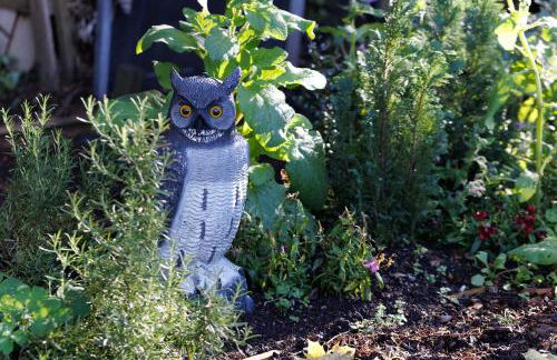 Thornbury Castle - A Relais & Chateaux Hotel - Foto 30