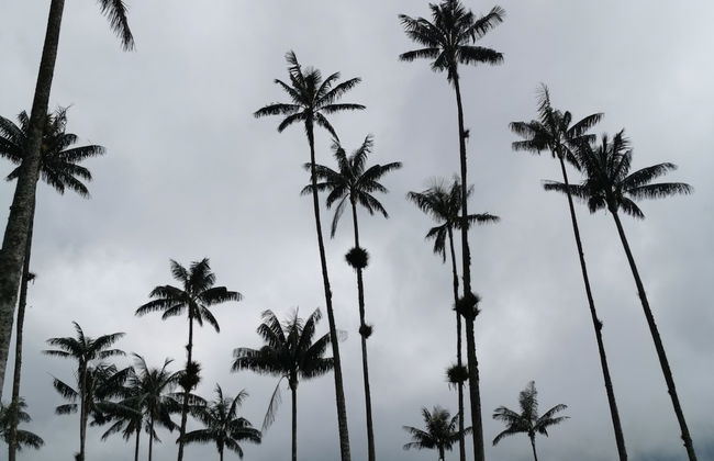 Casa Tien - Photo 76