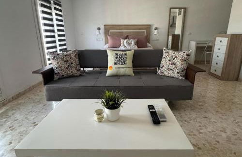 Apartamento Mirador del Tinto centro ciudad - Foto 43