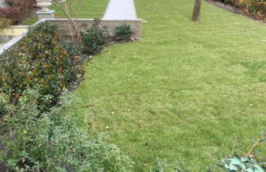 Casa Teresa - Foto 11