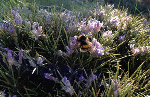 Casas Rurales Telecabina Las Catifas - Photo 45