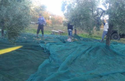 Baduerughe - ValledelLago - Foto 61