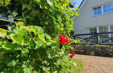 Haus Gutland - Foto 3