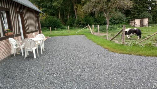 La Cour Angot - Foto 5