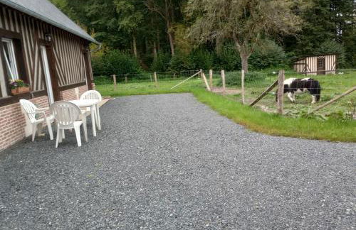 La Cour Angot - Foto 5