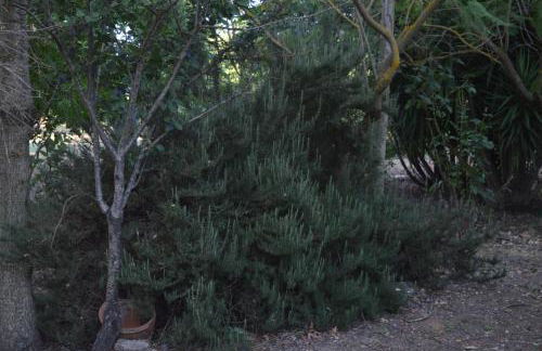 Casa Fondachello - Foto 28