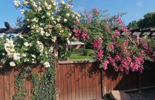 Urlaubshof-Boie - Foto 14