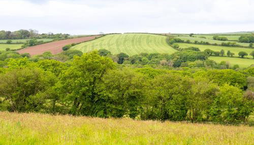 Demelza Cottage Apartment - Foto 3