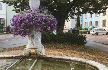 Creek House - Foto 25