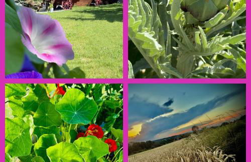 la Roulotte du Pont Sarrazin - Foto 6