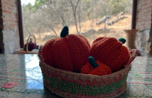 Antiguo Molino con piscina y chimenea en el valle del Tietar - Foto 18