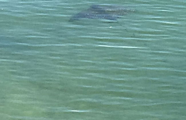 Glen Eden Beach Resort - Foto 70