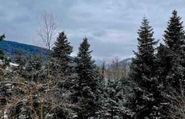 Lake Plastira Lodge - Photo 35