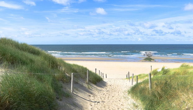 Holiday Home in De Koog With Sauna and Garden - Foto 5, Exterior